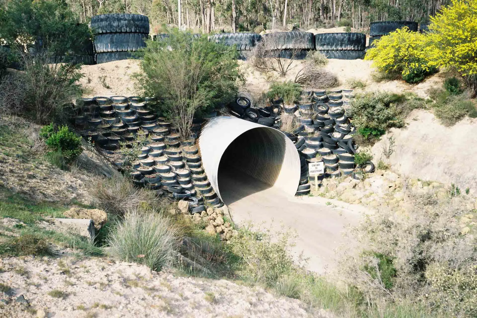 collie motorplex tunnel